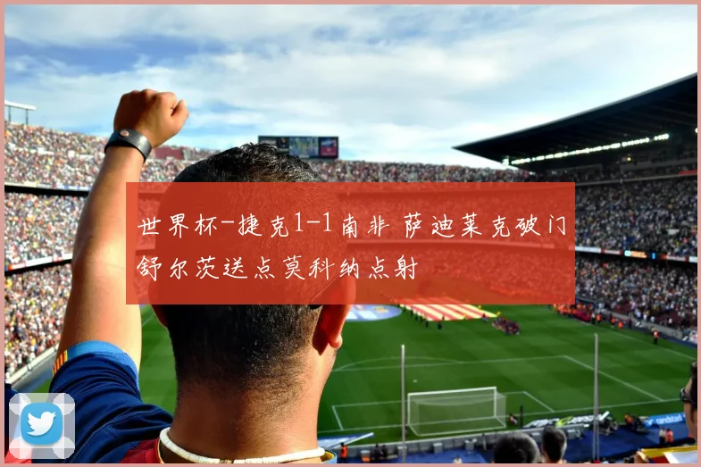 世界杯-捷克1-1南非 萨迪莱克破门舒尔茨送点莫科纳点射